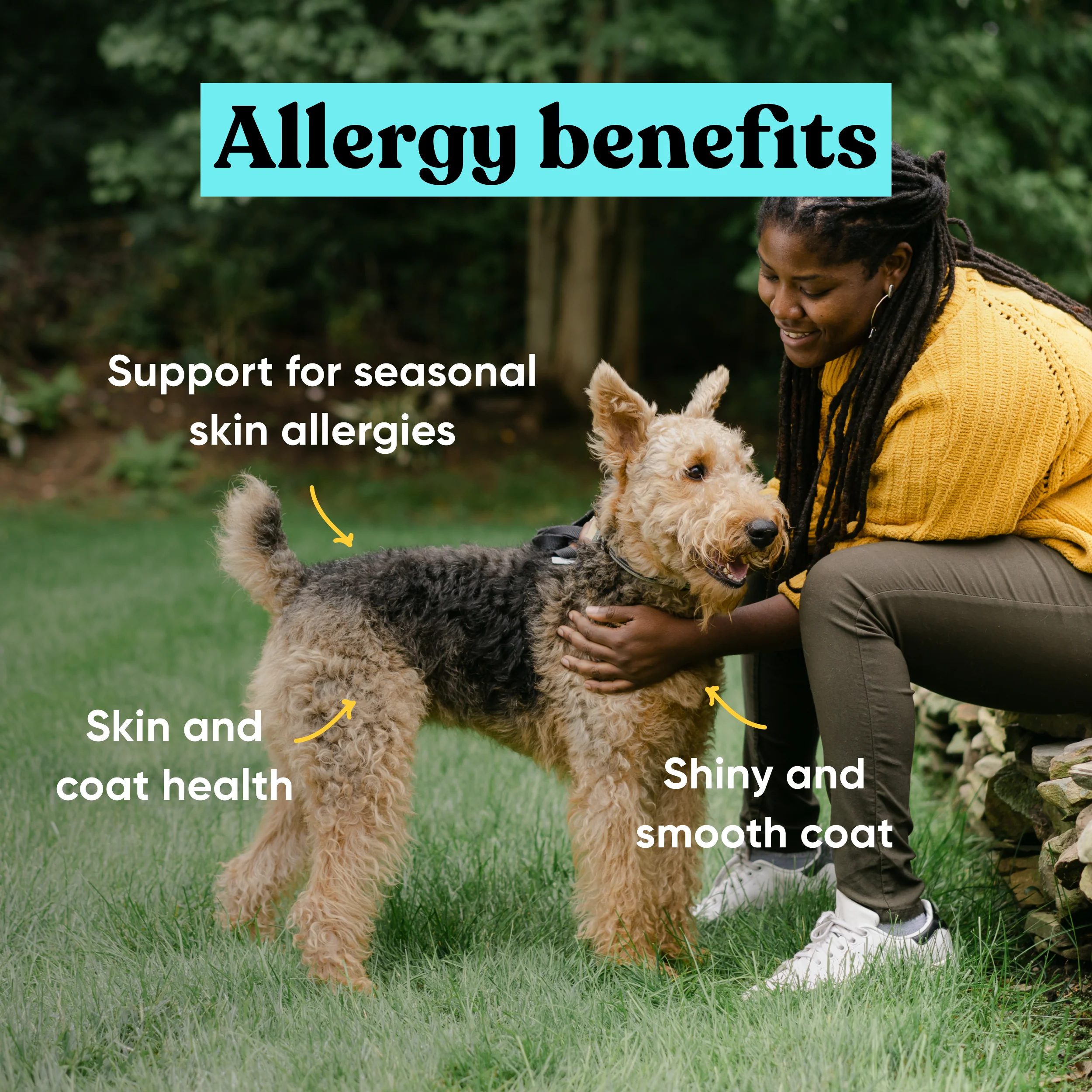 Allergy and Joint Supplement Bundle - Image 3