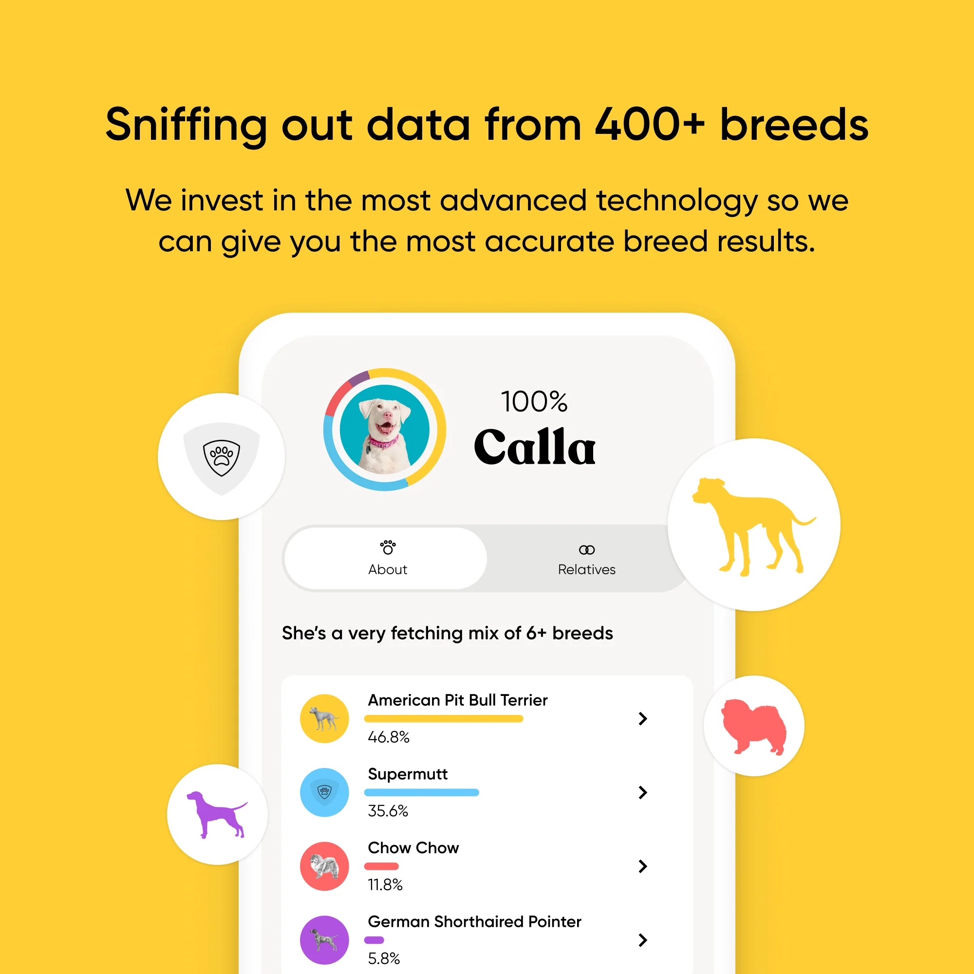 Breed Identification Dog DNA Test - Image 2