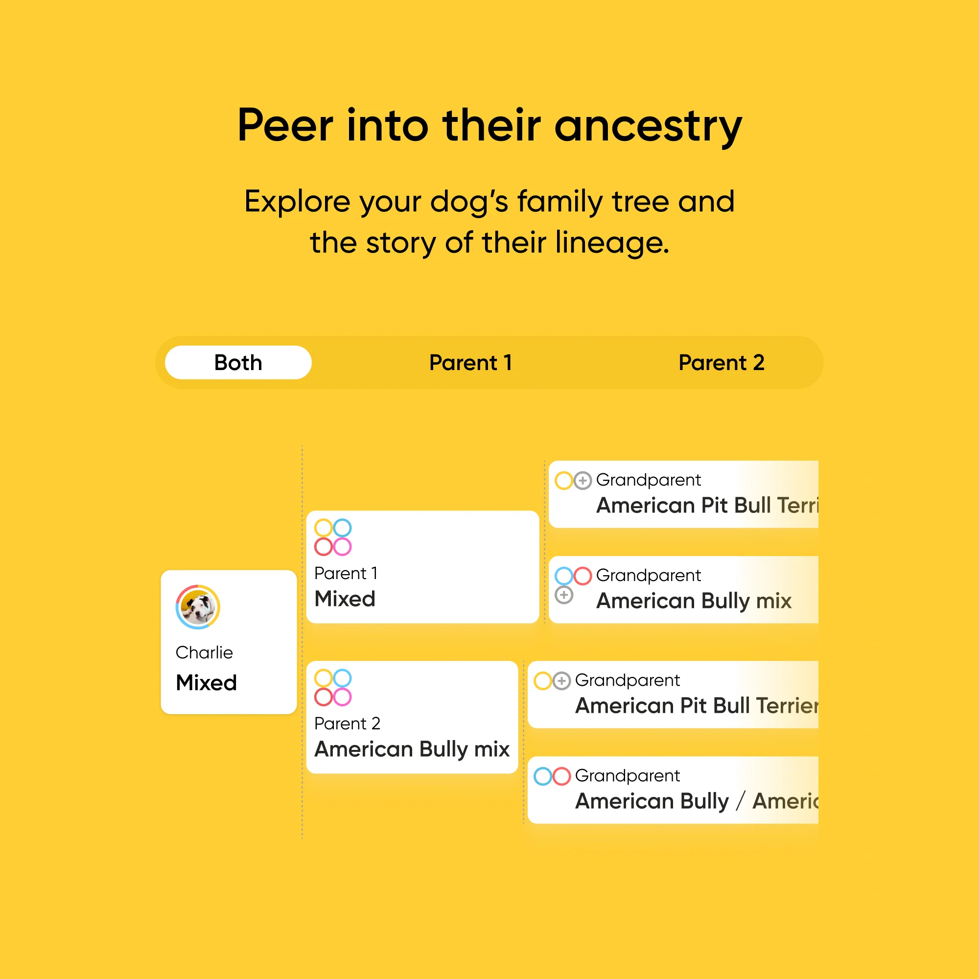 Breed Identification Dog DNA Test - Image 5