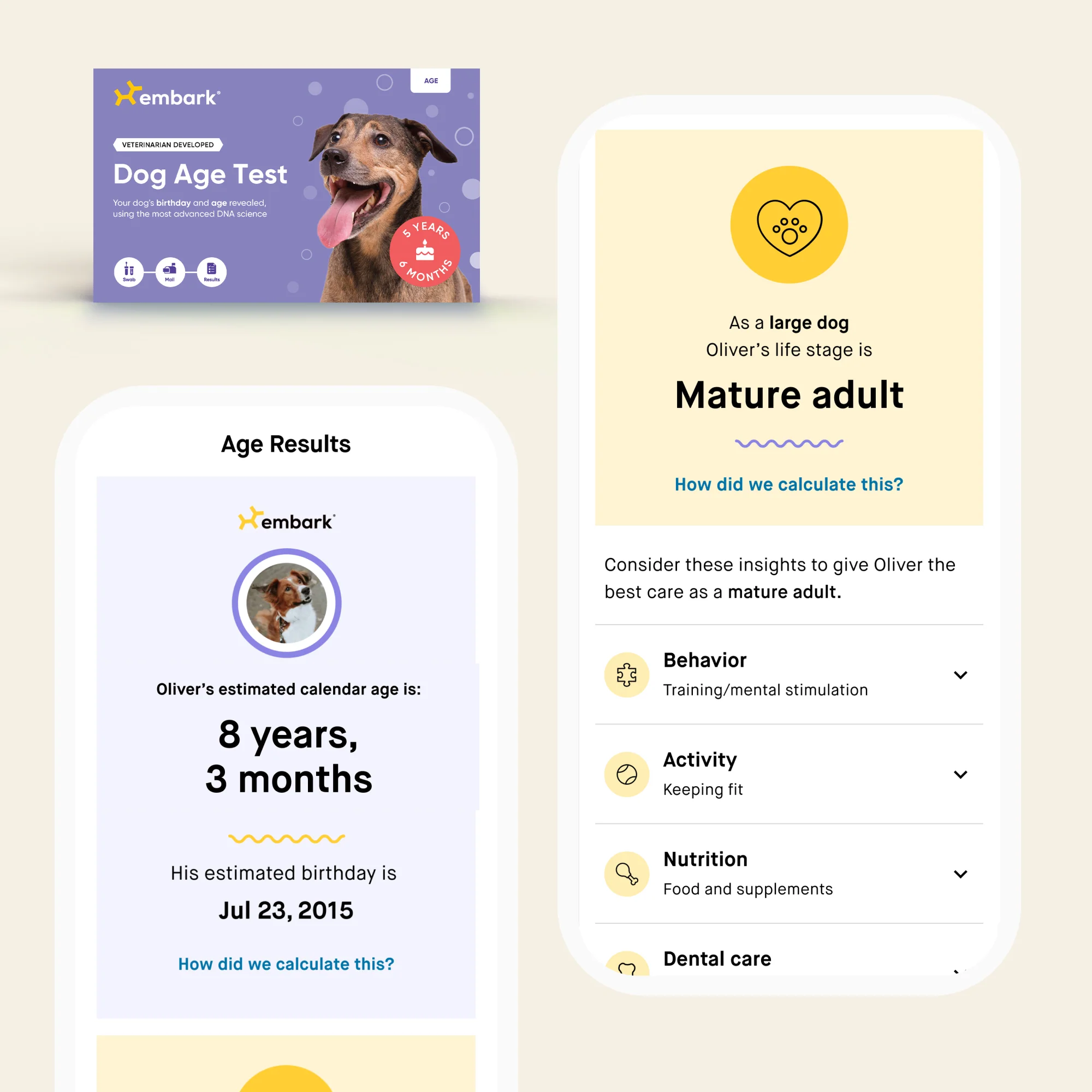 Breed + Health and Age Test Bundle - Image 3