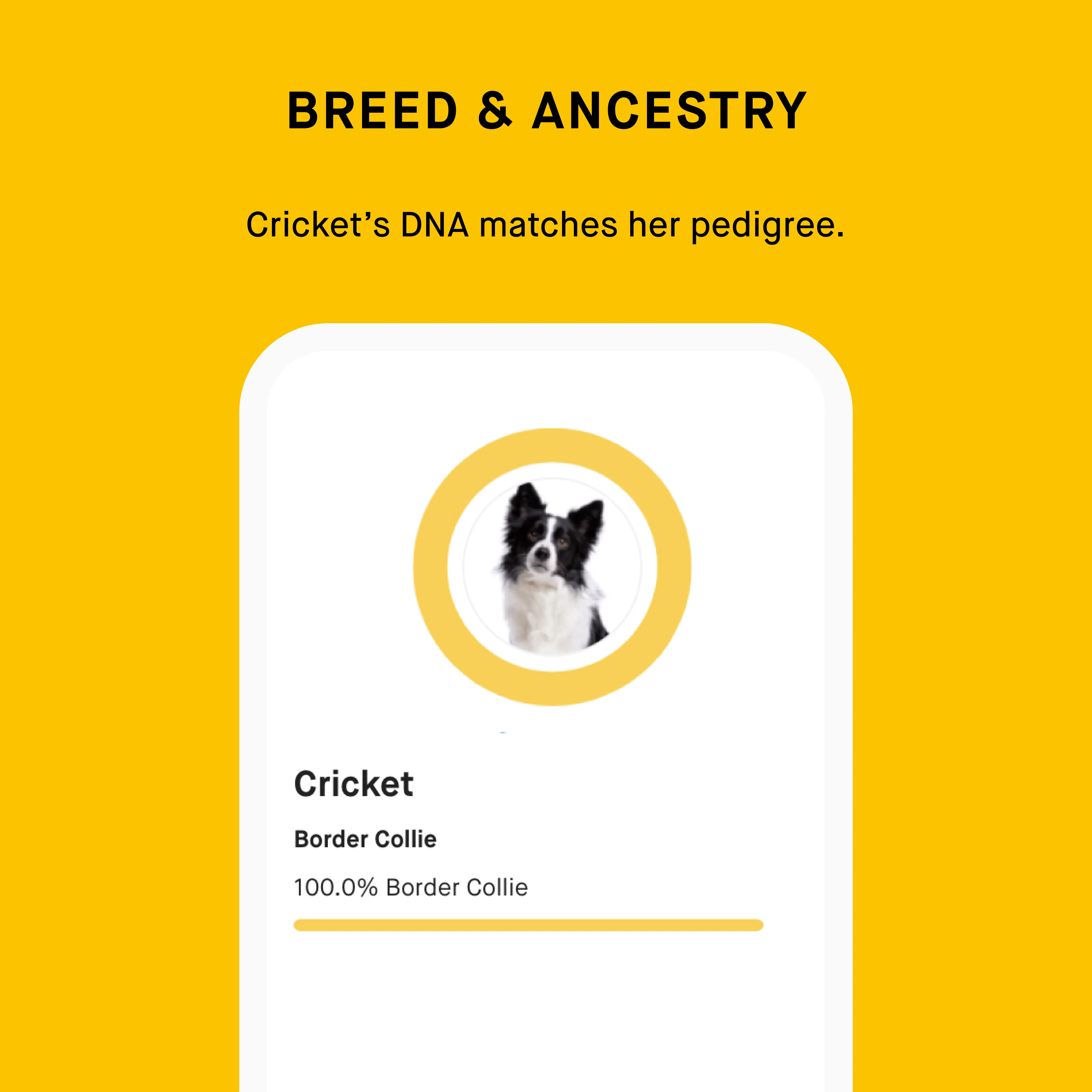 Embark for Breeders Litter Package - Image 5