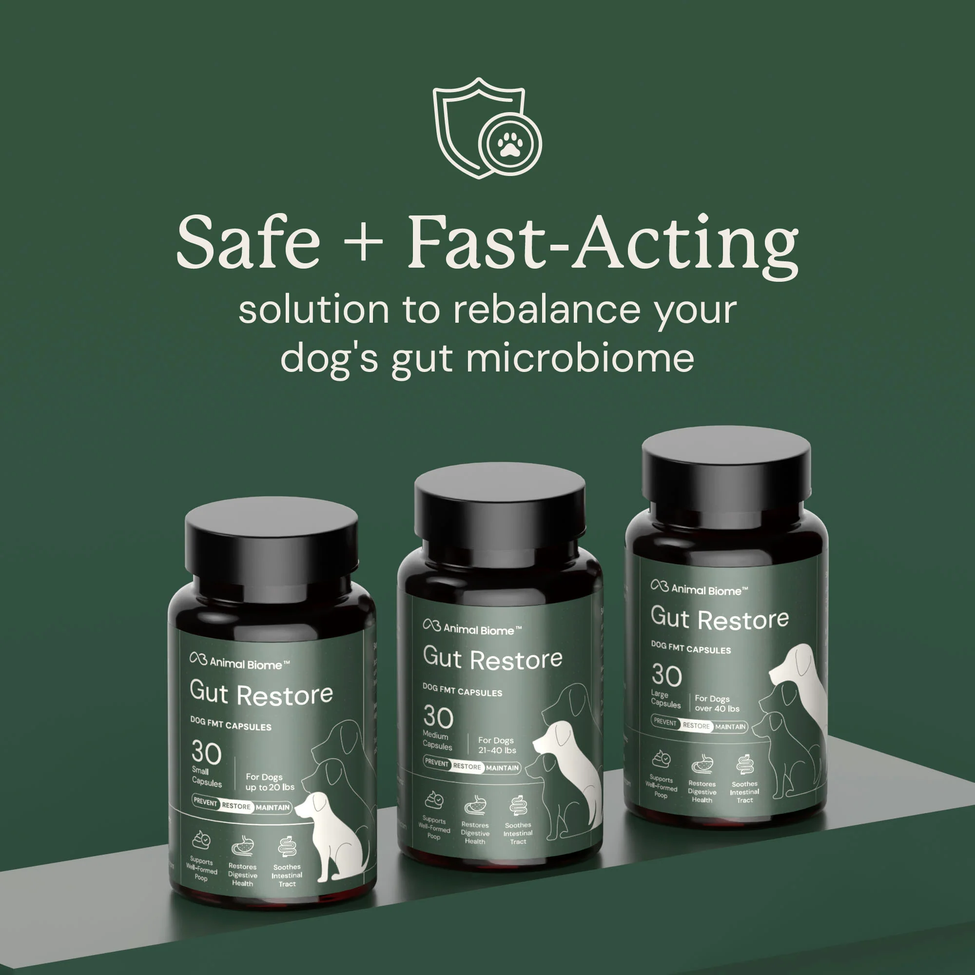Gut Restore Supplement for Dogs - Image 11