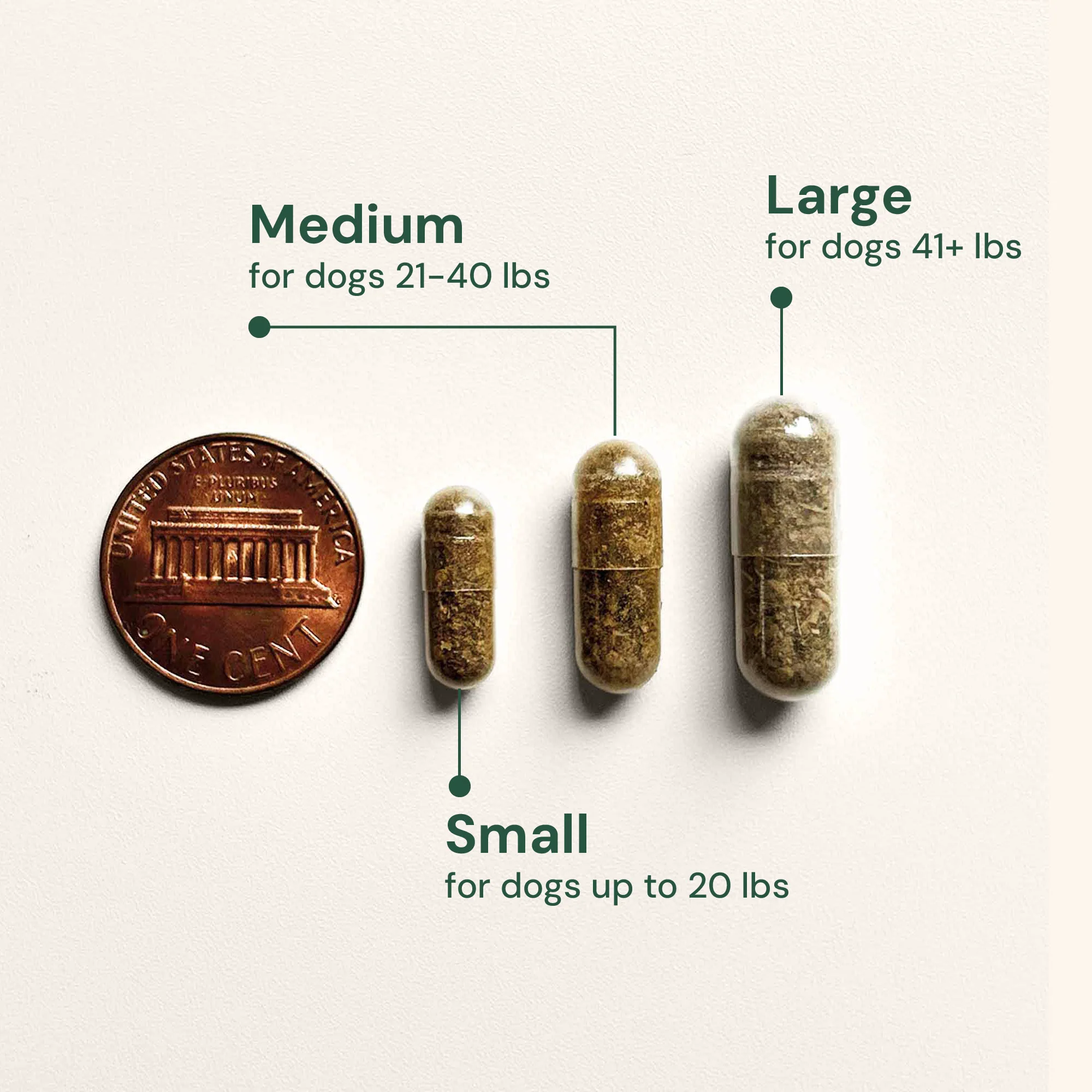 Gut Restore Supplement for Dogs - Image 5