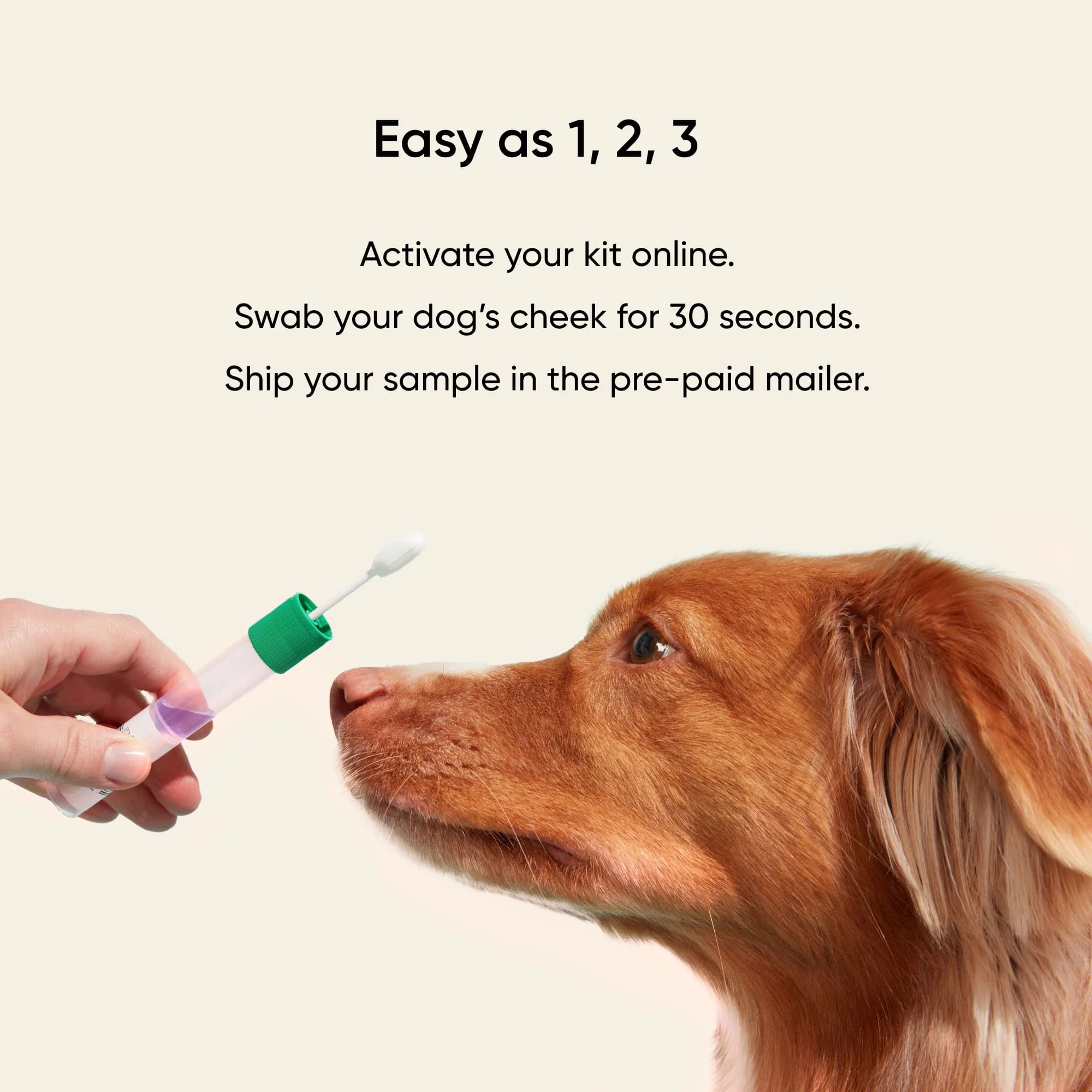 Embark Puppy Partner DNA Test - Image 7