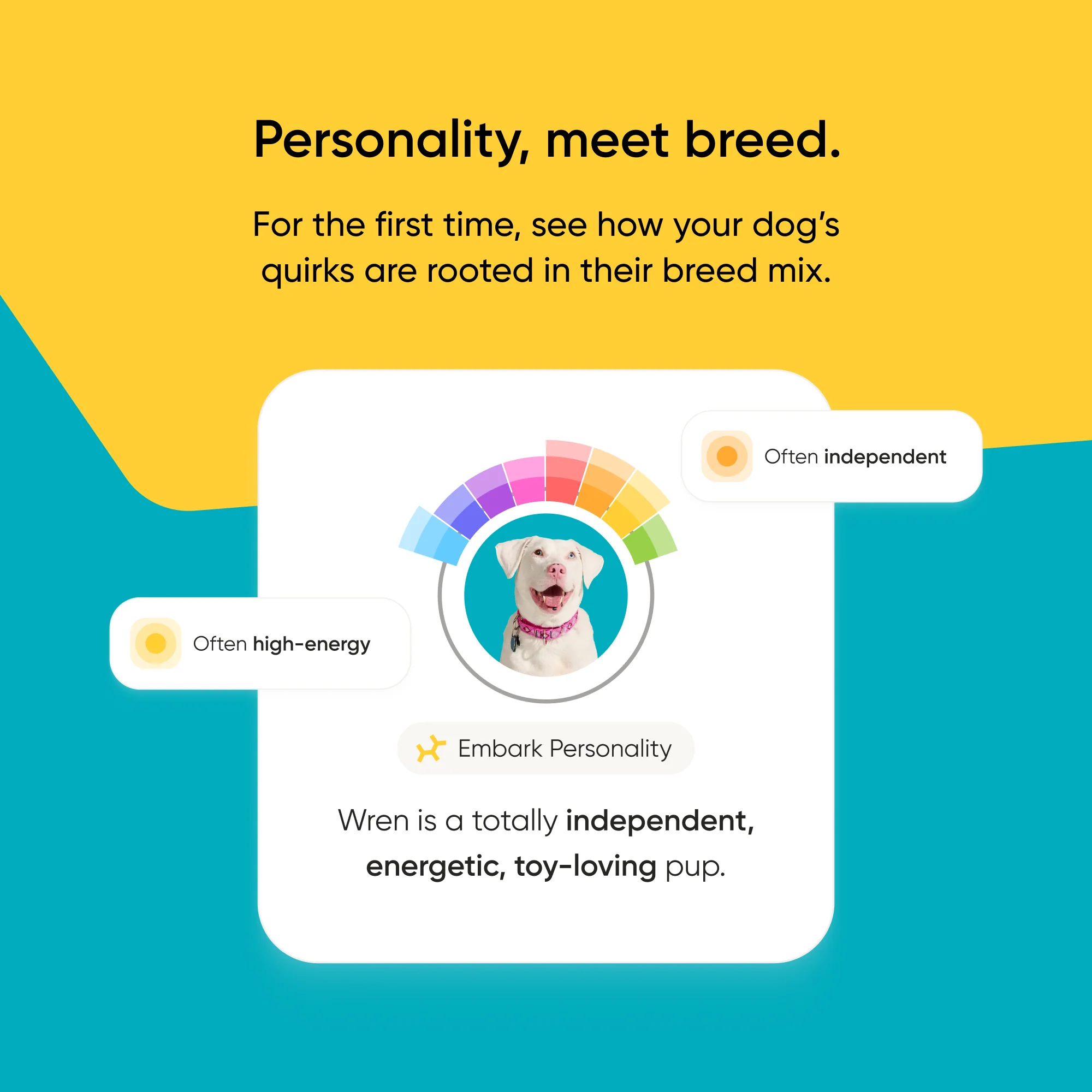 Purebred Dog DNA Test - Image 10