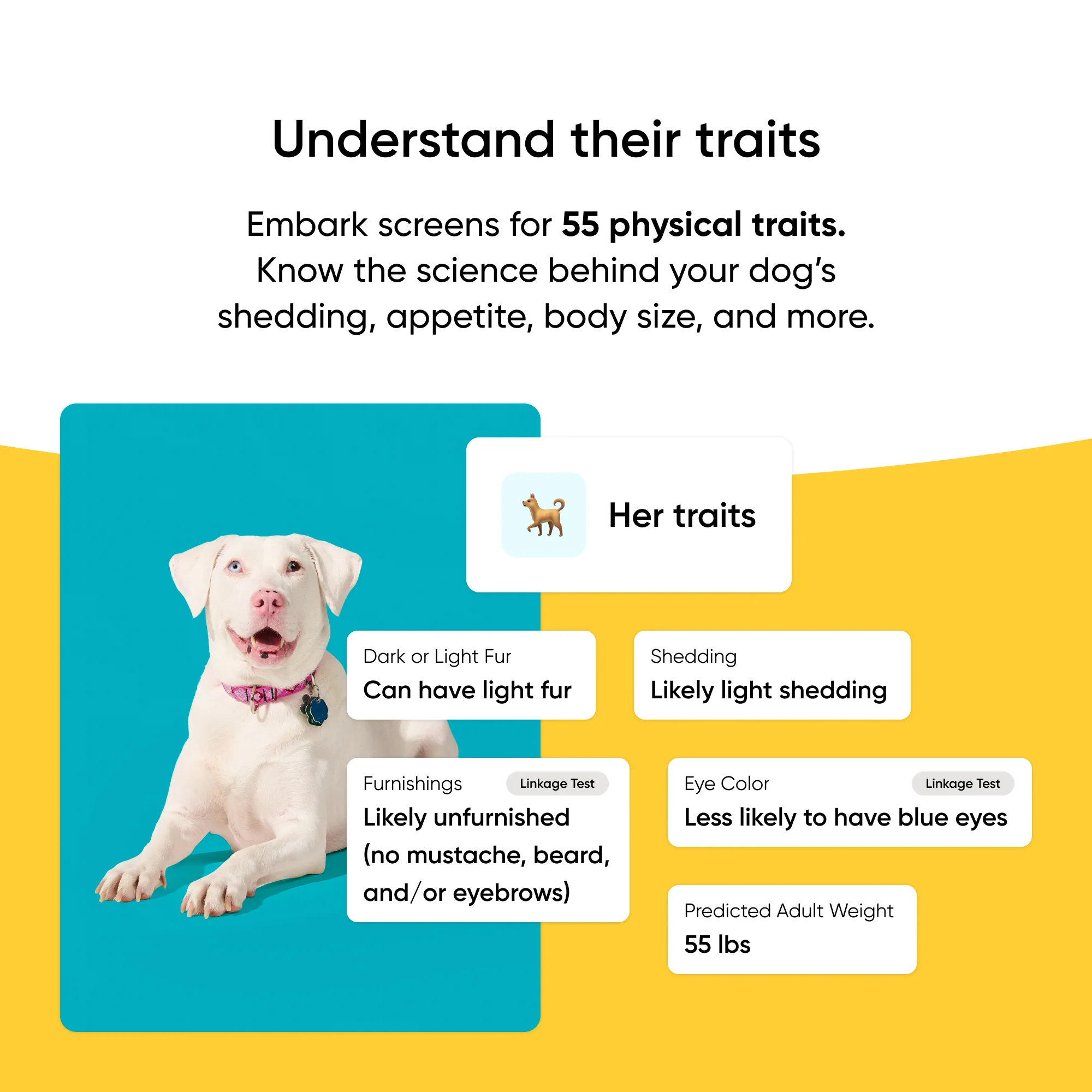 Breed + Health Test 2-Pack - Image 5