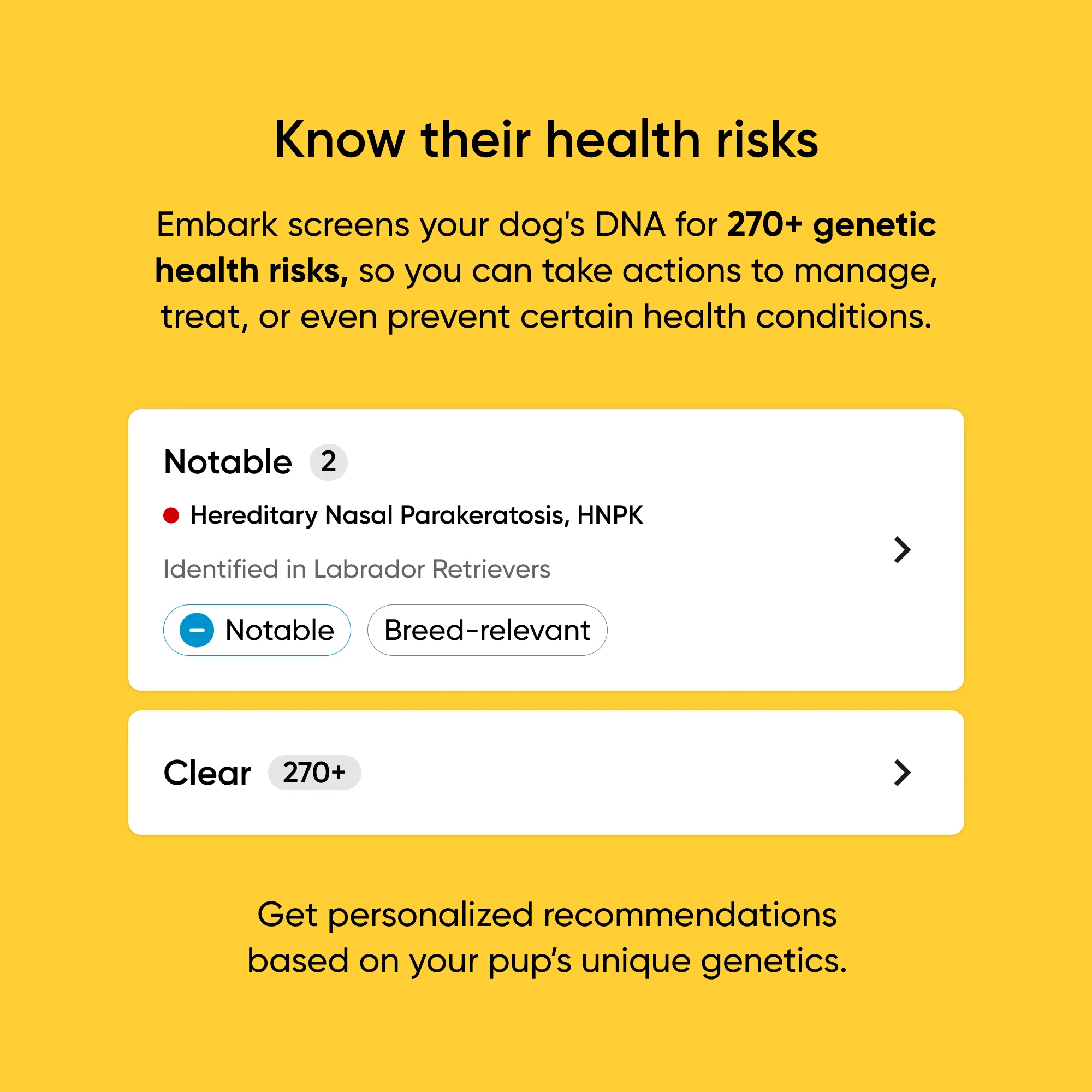 Purebred Dog DNA Test - Image 4