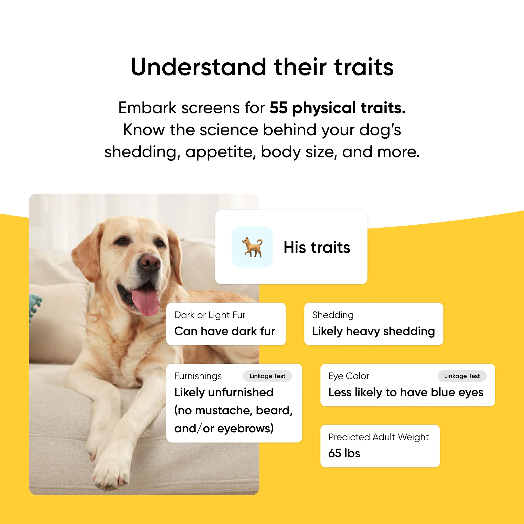 Purebred Dog DNA Test - Image 5