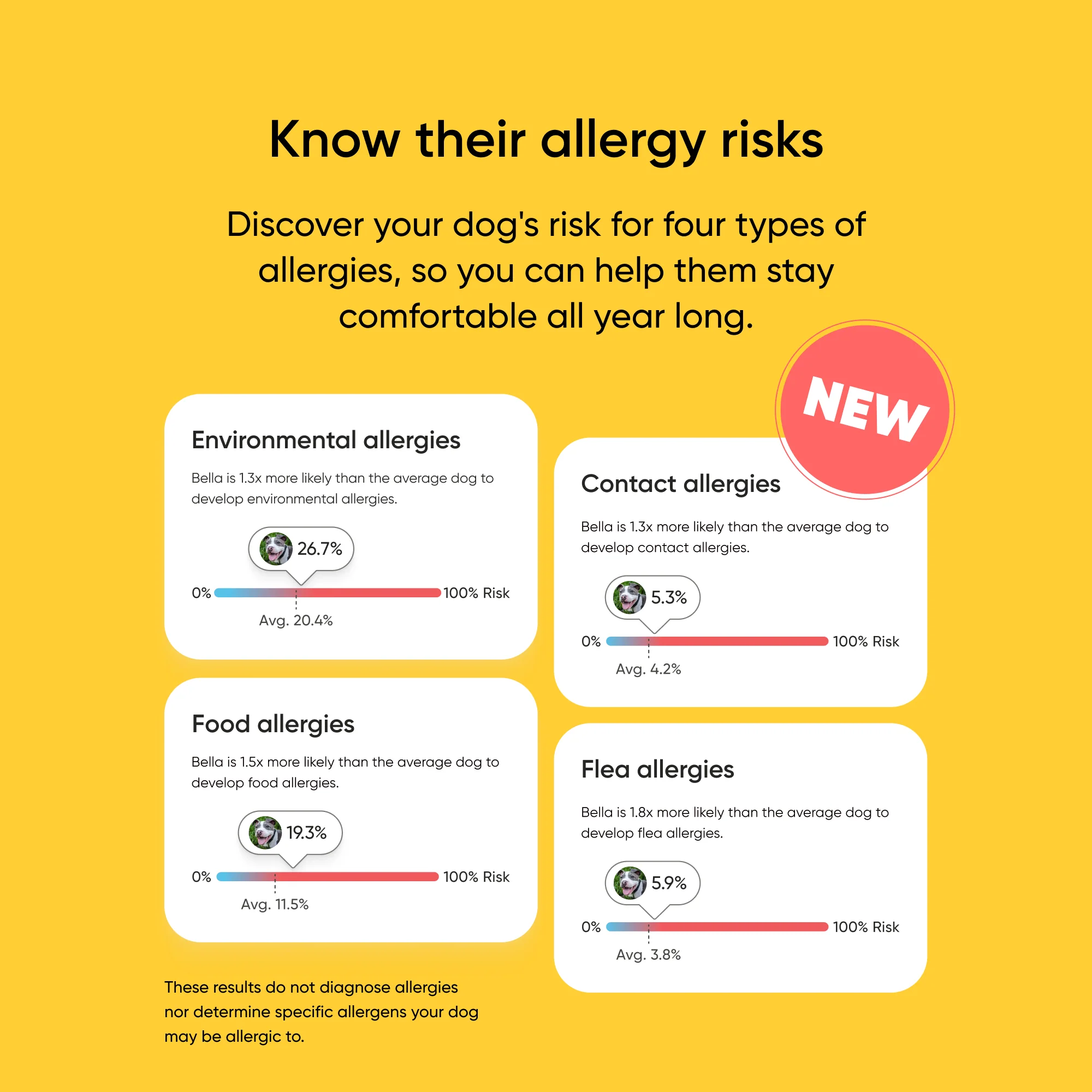 Purebred Dog DNA Test - Image 8