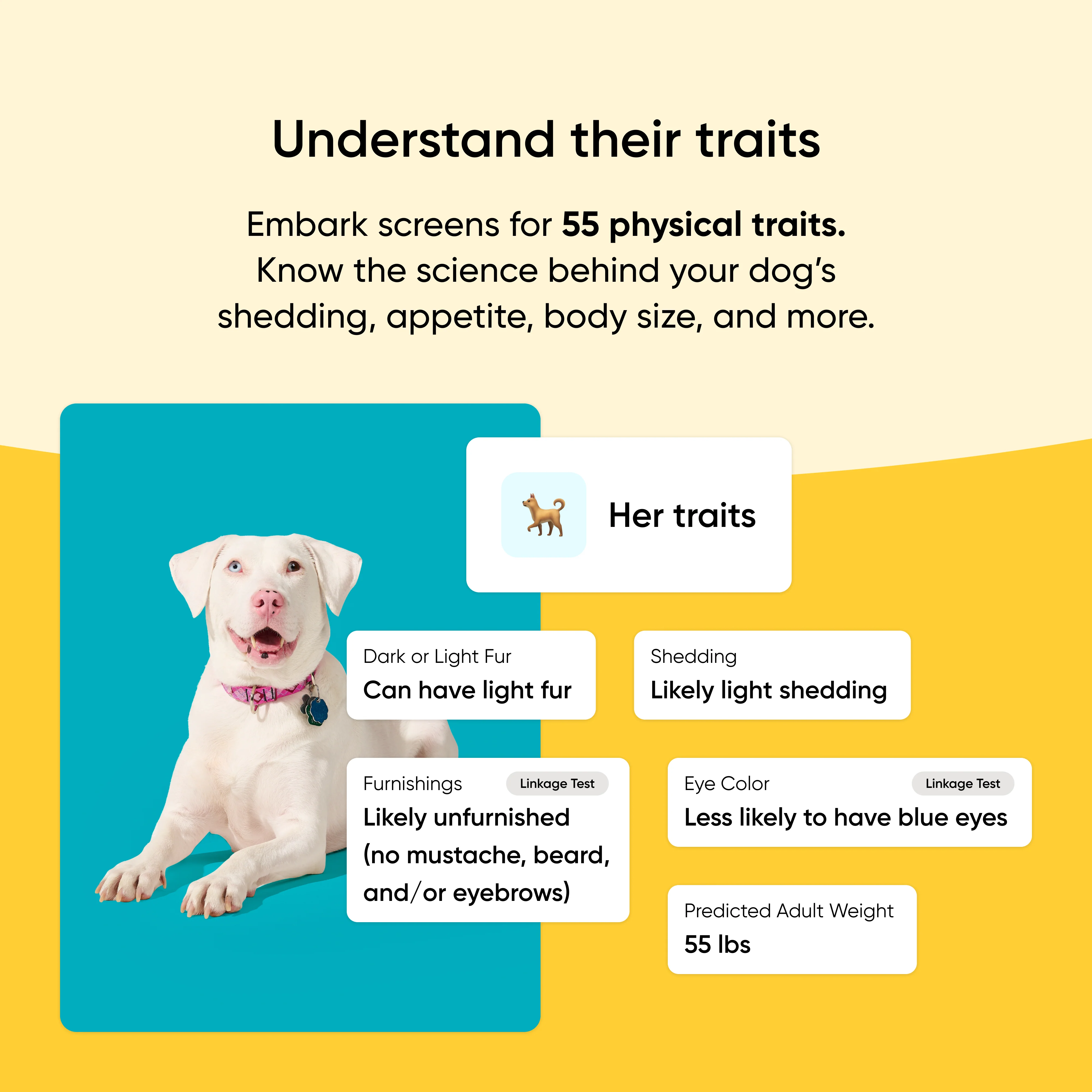 Health + Traits Upgrade - Image 4
